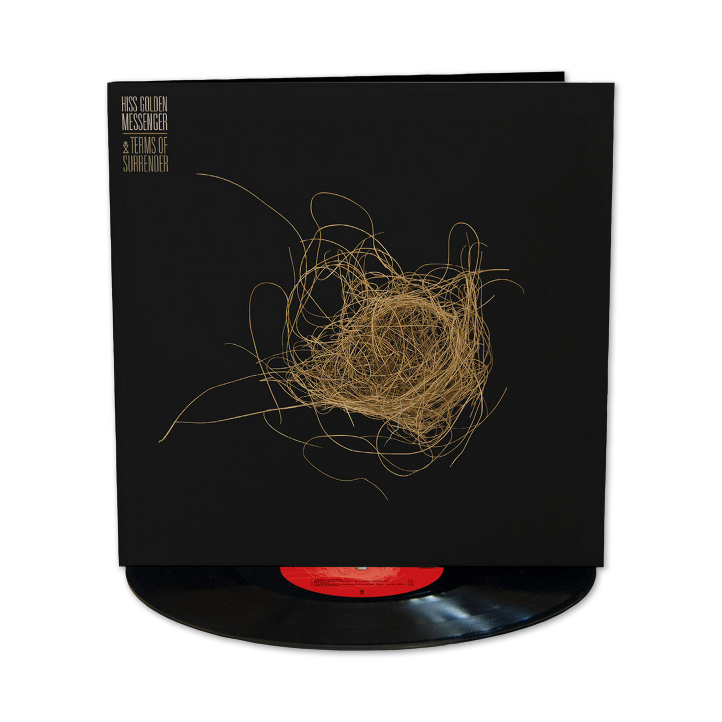 Terms of Surrender (Black) Vinyl LP
